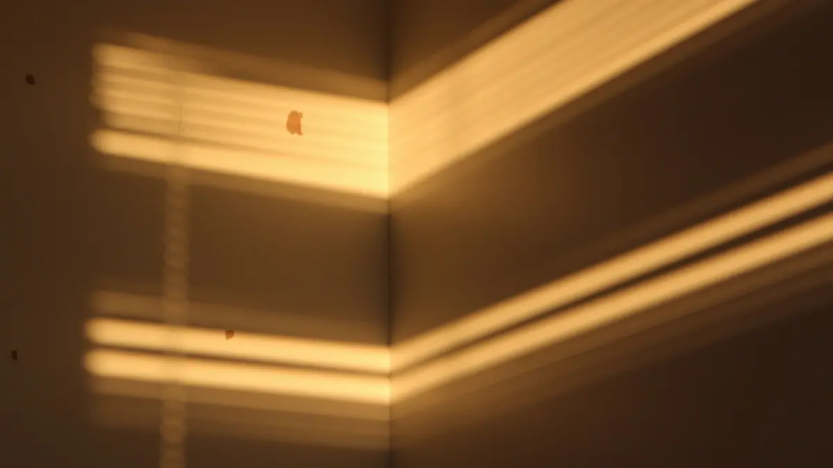 Soft sunlight casts diagonal shadows on a wall in a corner.
